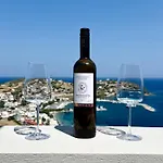 Petra Luxury 빌라 *