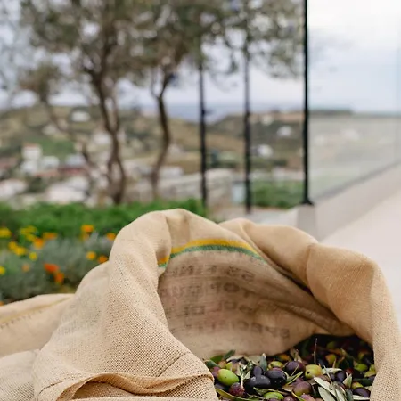 Petra Luxury * أييوي أبوستولوي