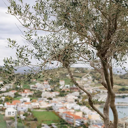 Petra Luxury فيلة أييوي أبوستولوي