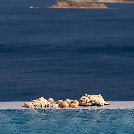Petra Luxury Vila *