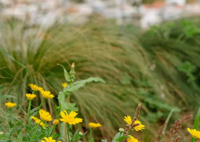 Petra Luxury Βίλα Άγιοι Απόστολοι